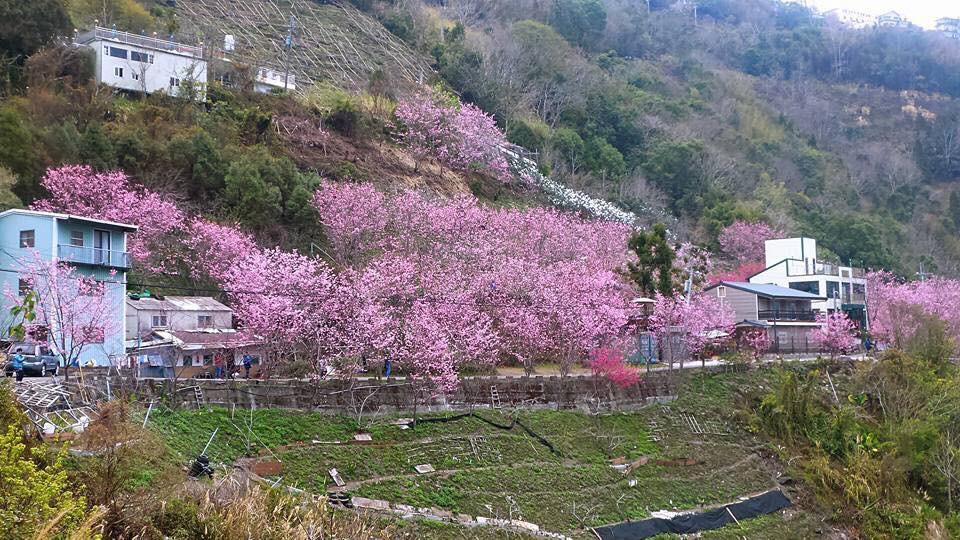 La La Shan 5.5Knong Zhuang Hualing Экстерьер фото