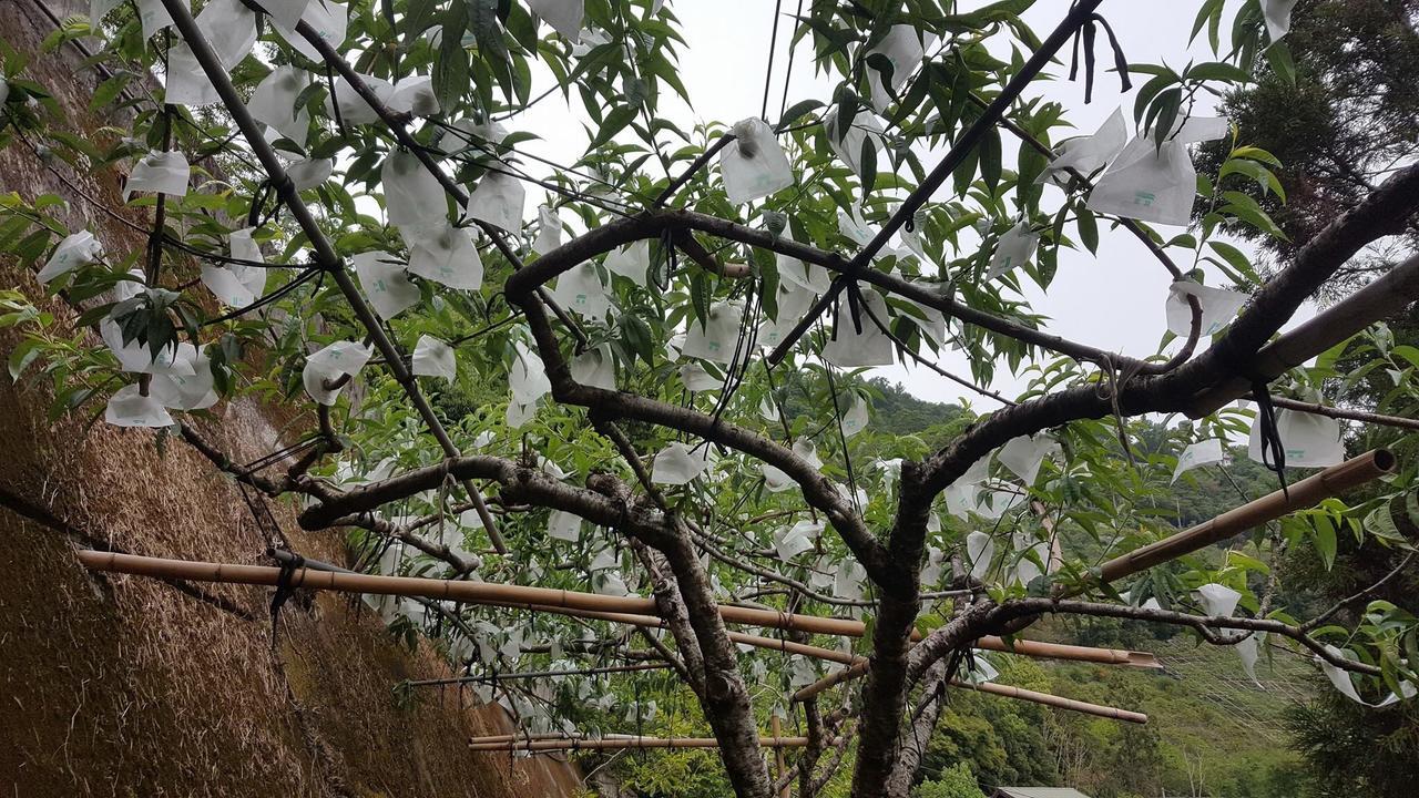 La La Shan 5.5Knong Zhuang Hualing Экстерьер фото